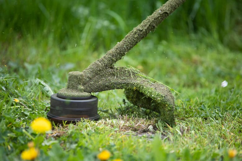 a-lawn-mower-is-cutting-green-grass-2021-08-27-22-57-40-utc