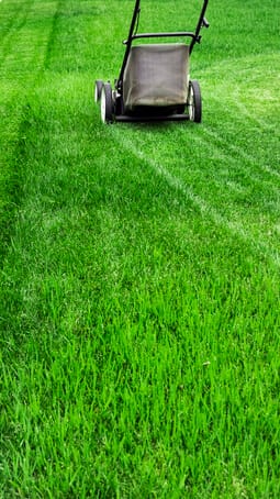 lawn-mower-2022-04-11-15-21-40-utc